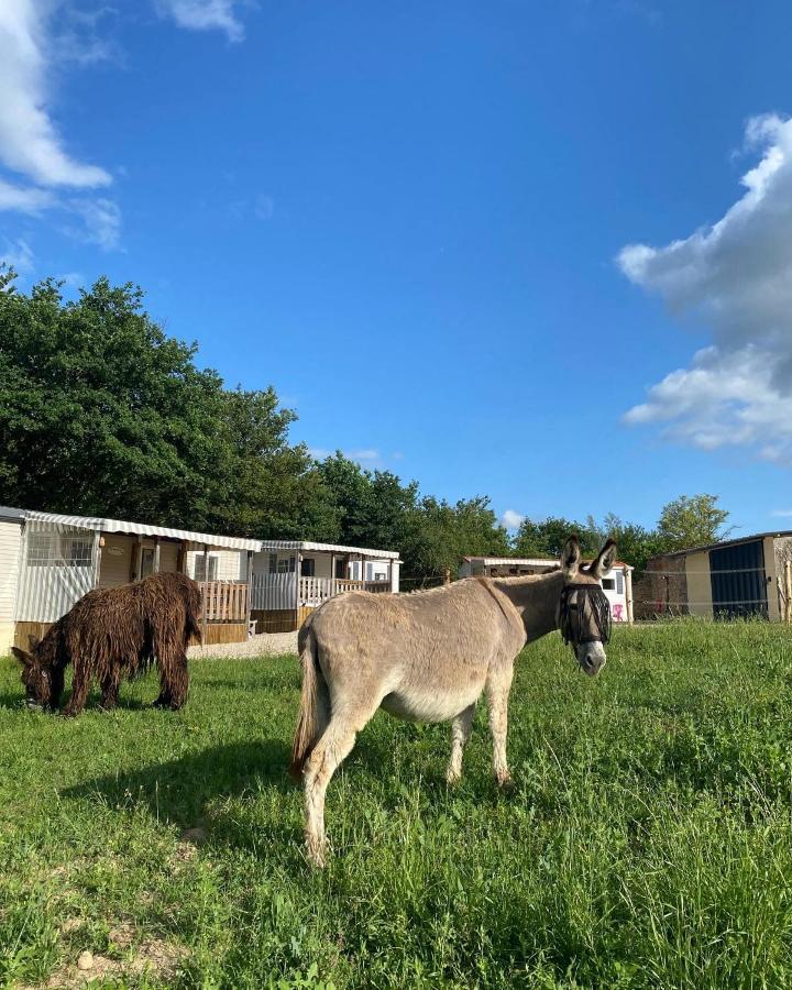 De La Ferme Aux ânesses, Mobil Myrtille Camping Bressuire
